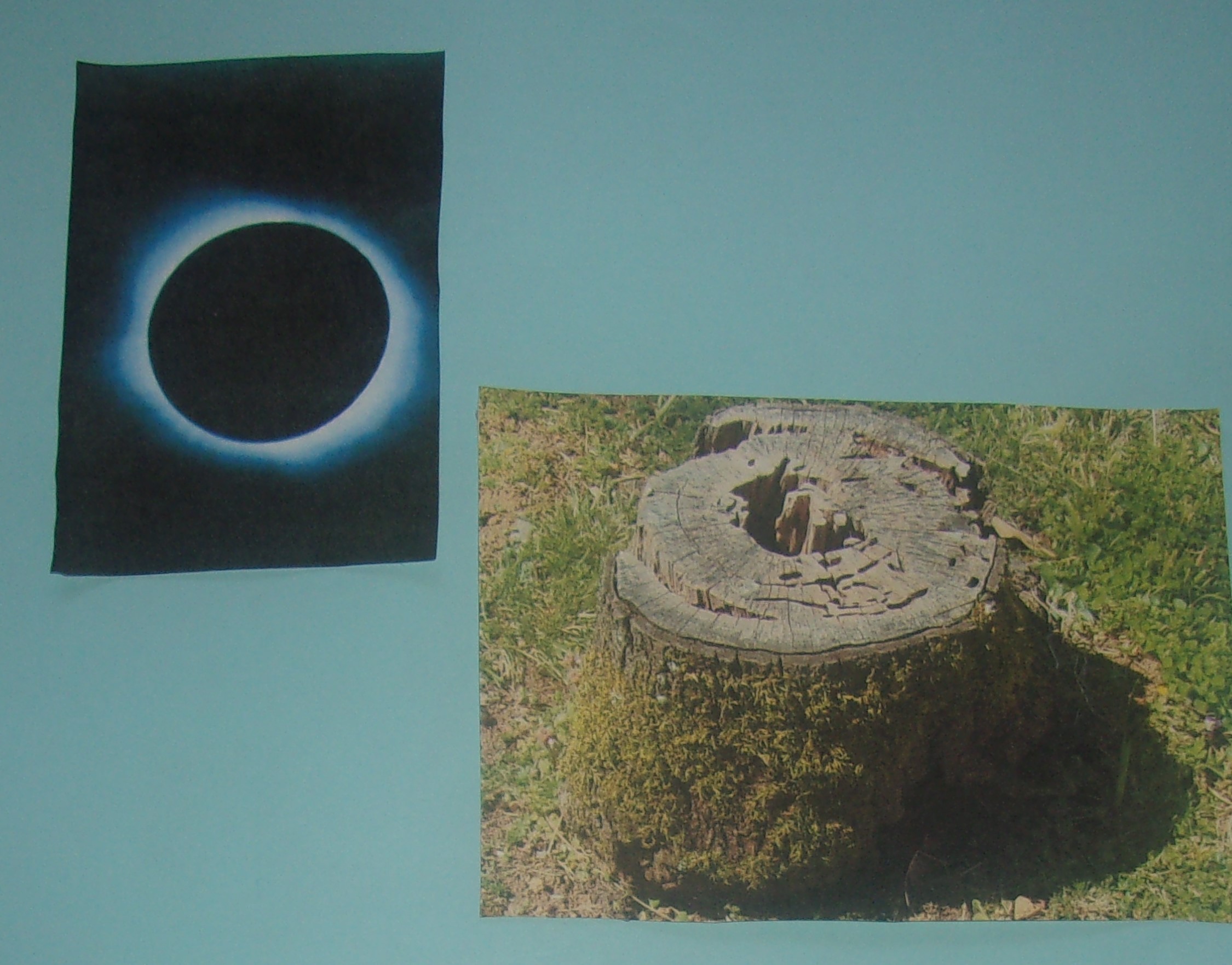 Stump Winter and Solar Eclipses