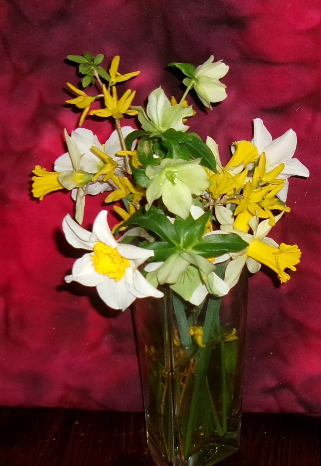 Spring Flowers–March