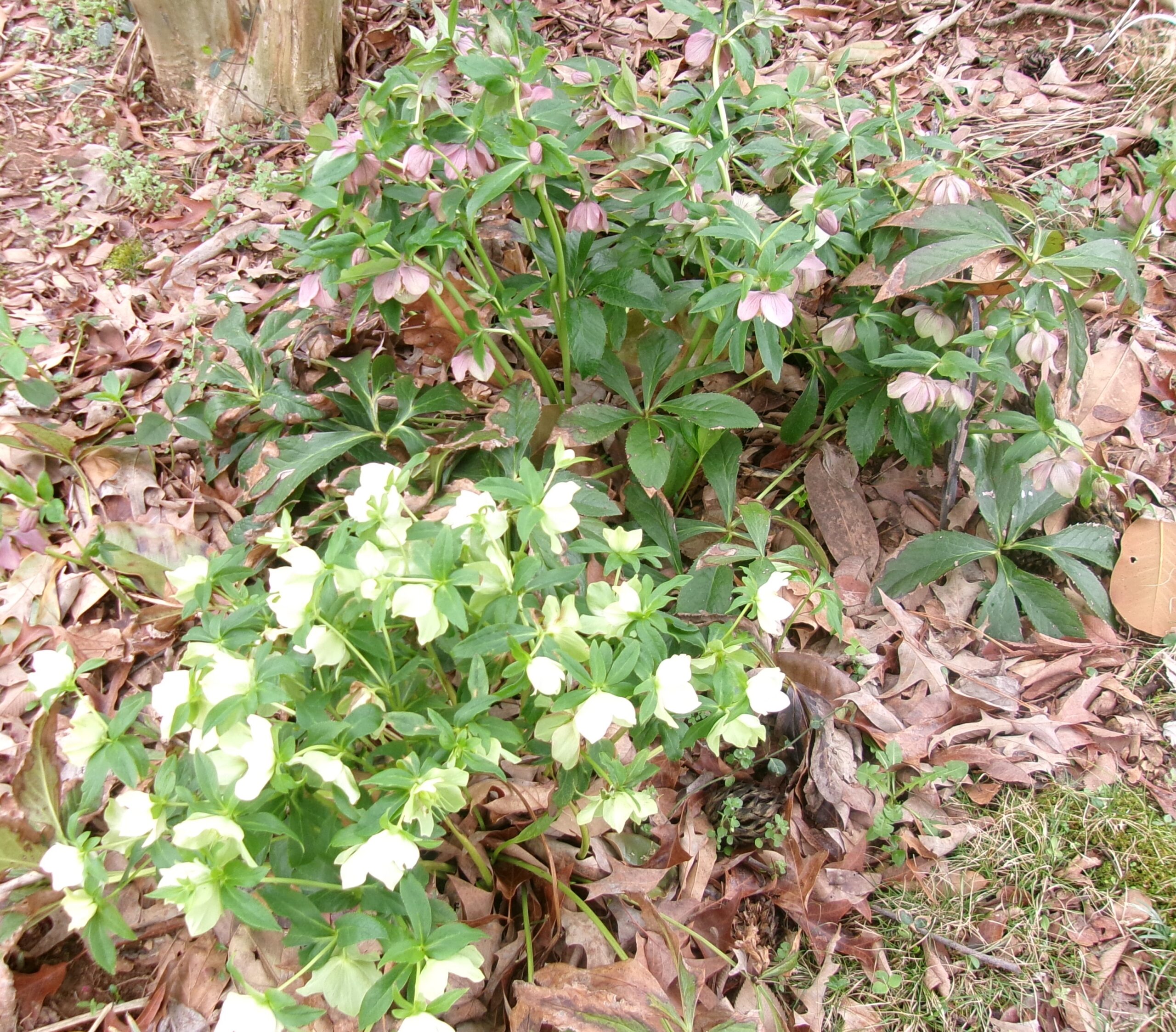 Red Sky Morning!!!!!