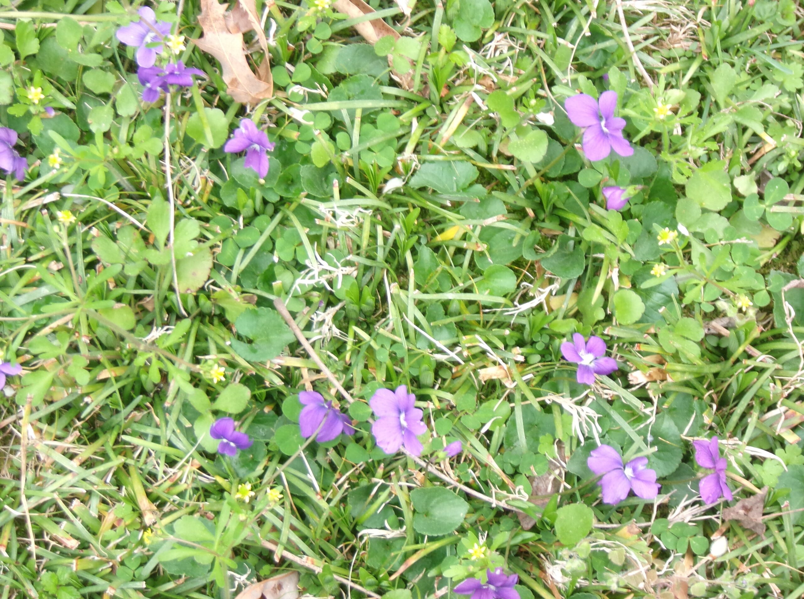 21st Century, Anybody?