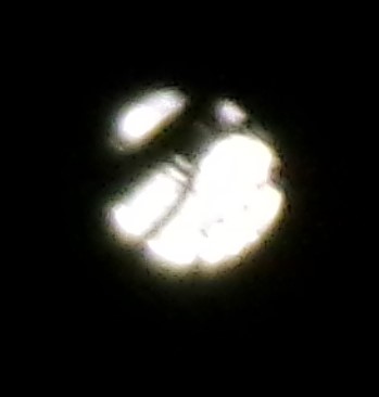 Chicken or the Egg???