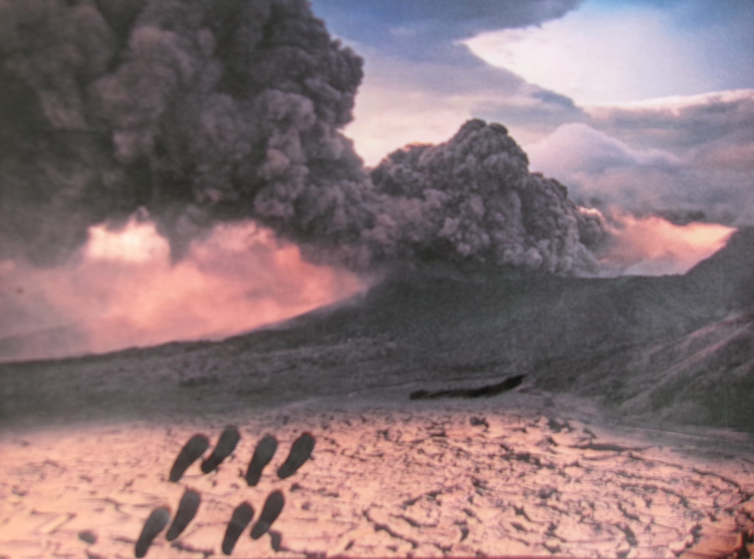 The Why of The Why!!!!