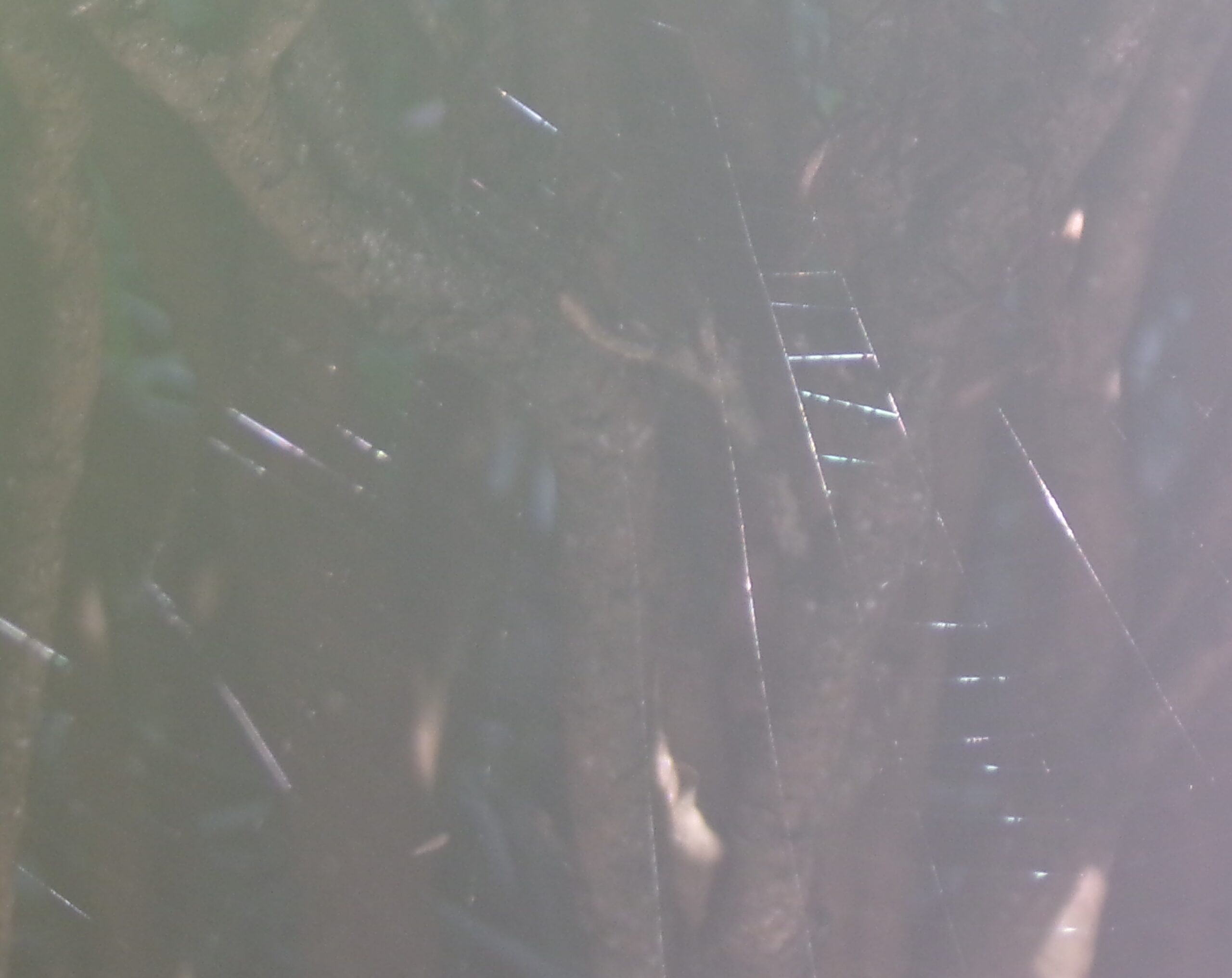 New Era Zeitgeists!!!