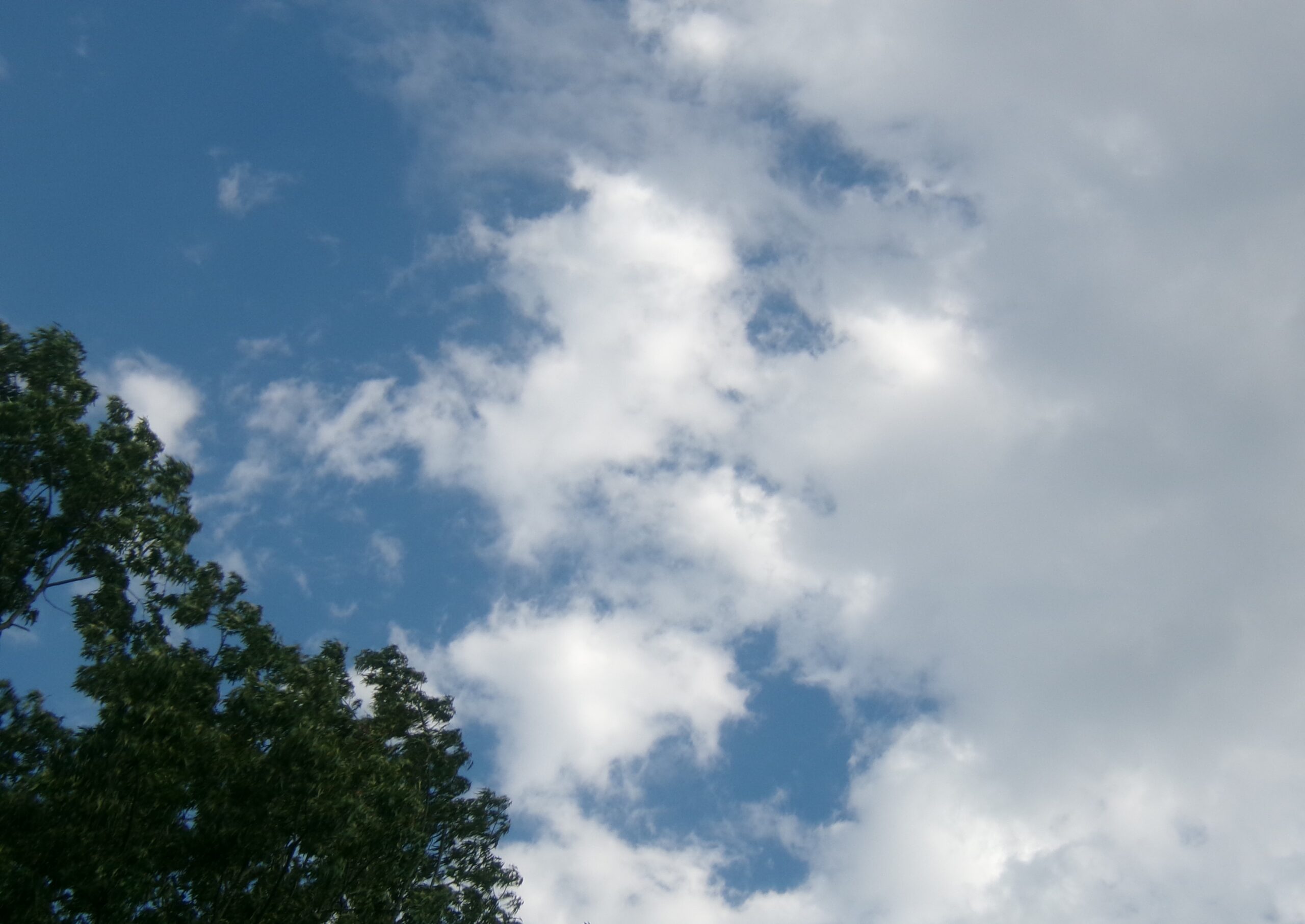 Year of the Appliance