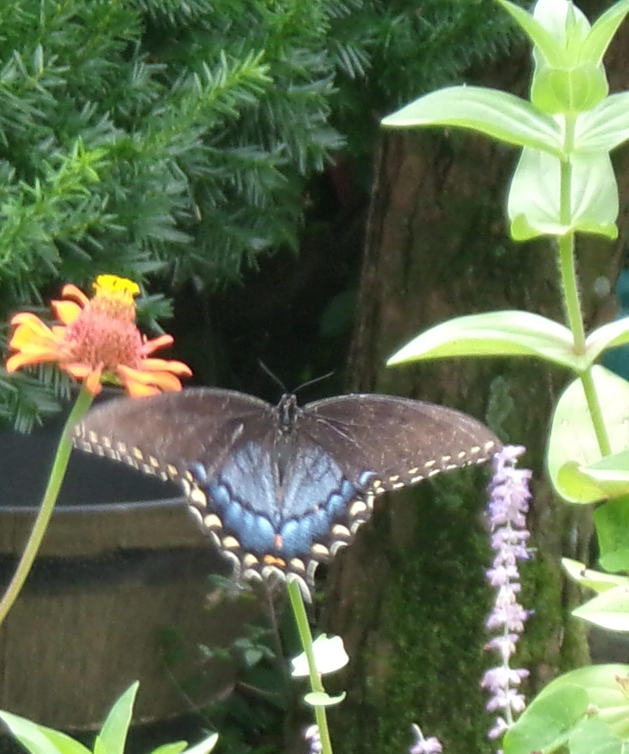 Mother Isn’t Happy!!!