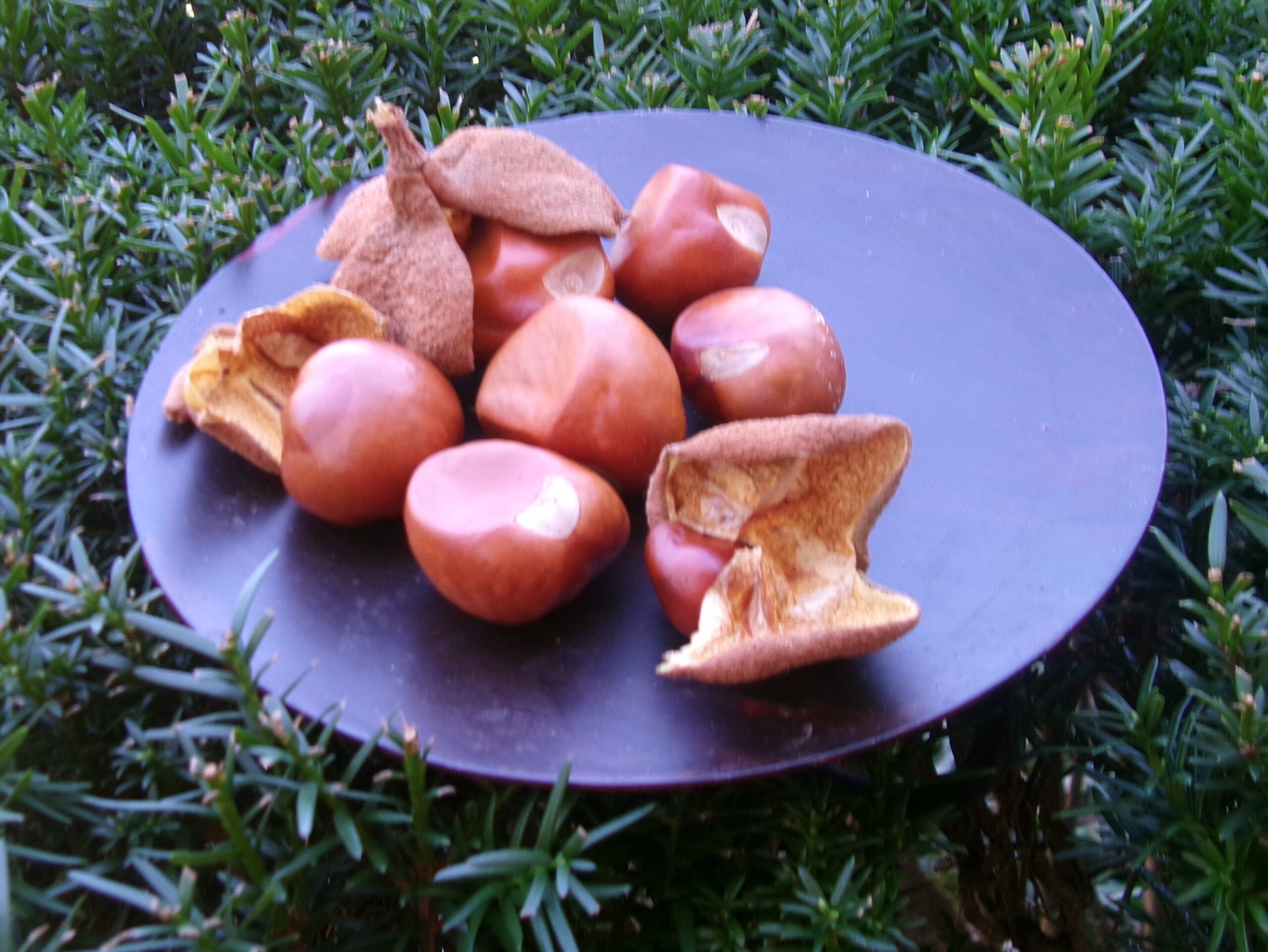 The Year of Return!!!