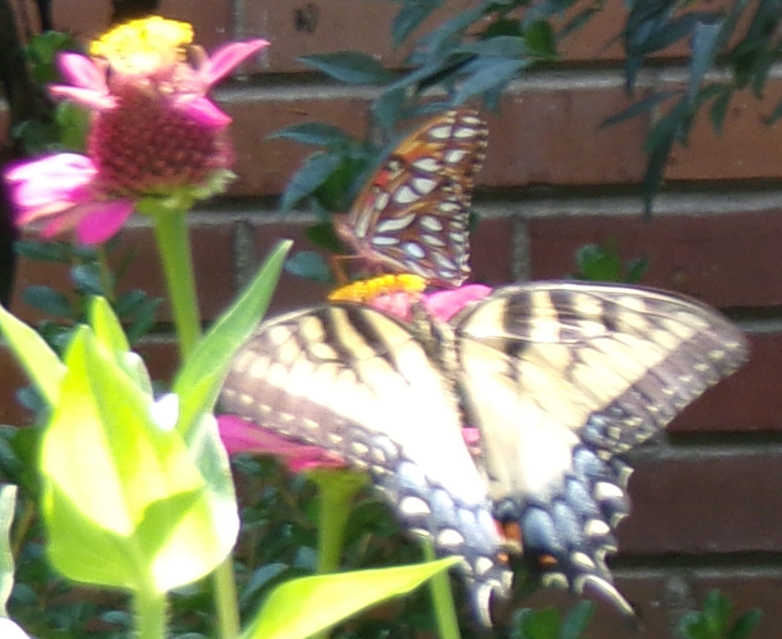 Plenty For Us All!!!