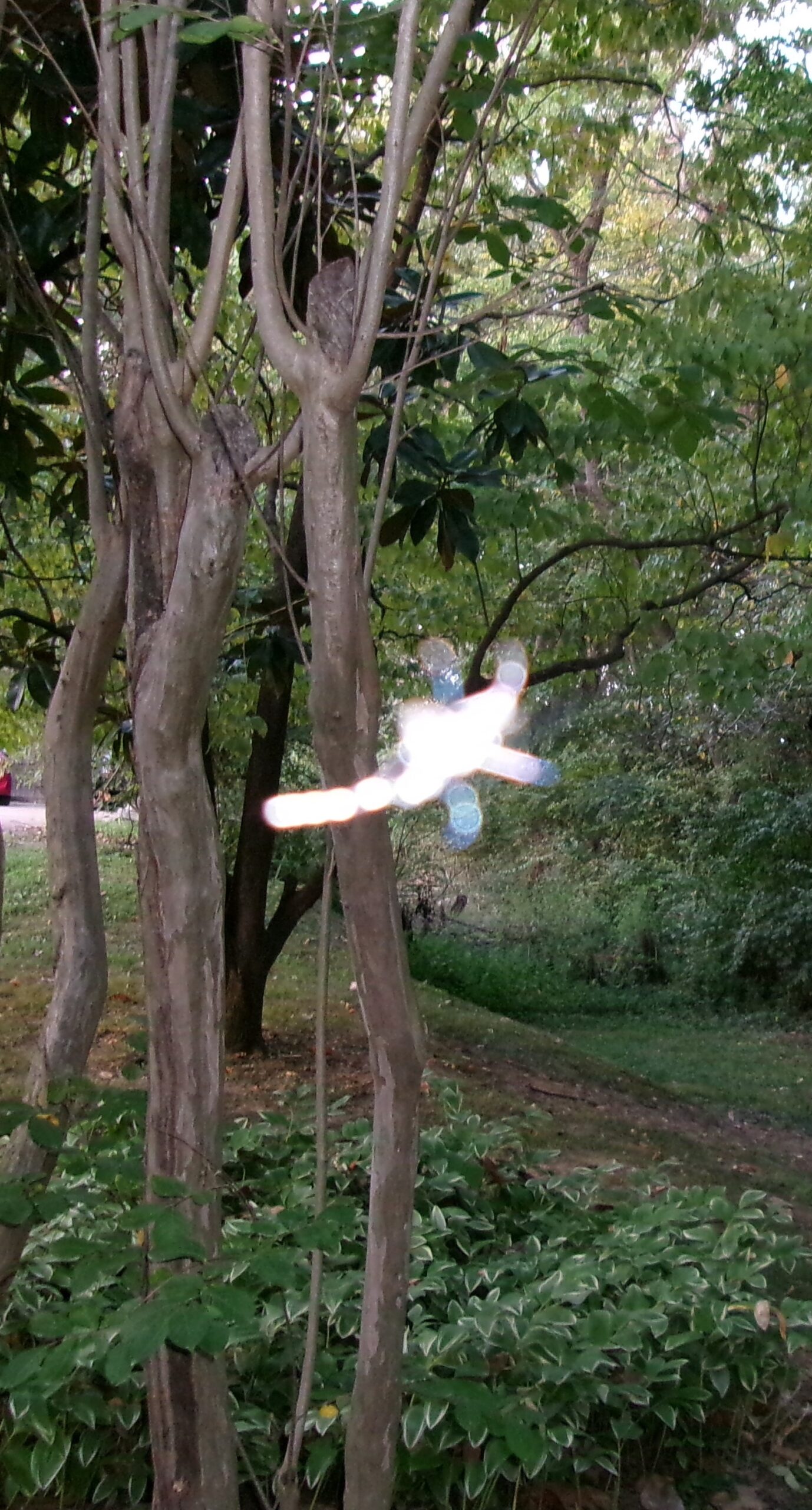 Autumn’s Abundance!!!