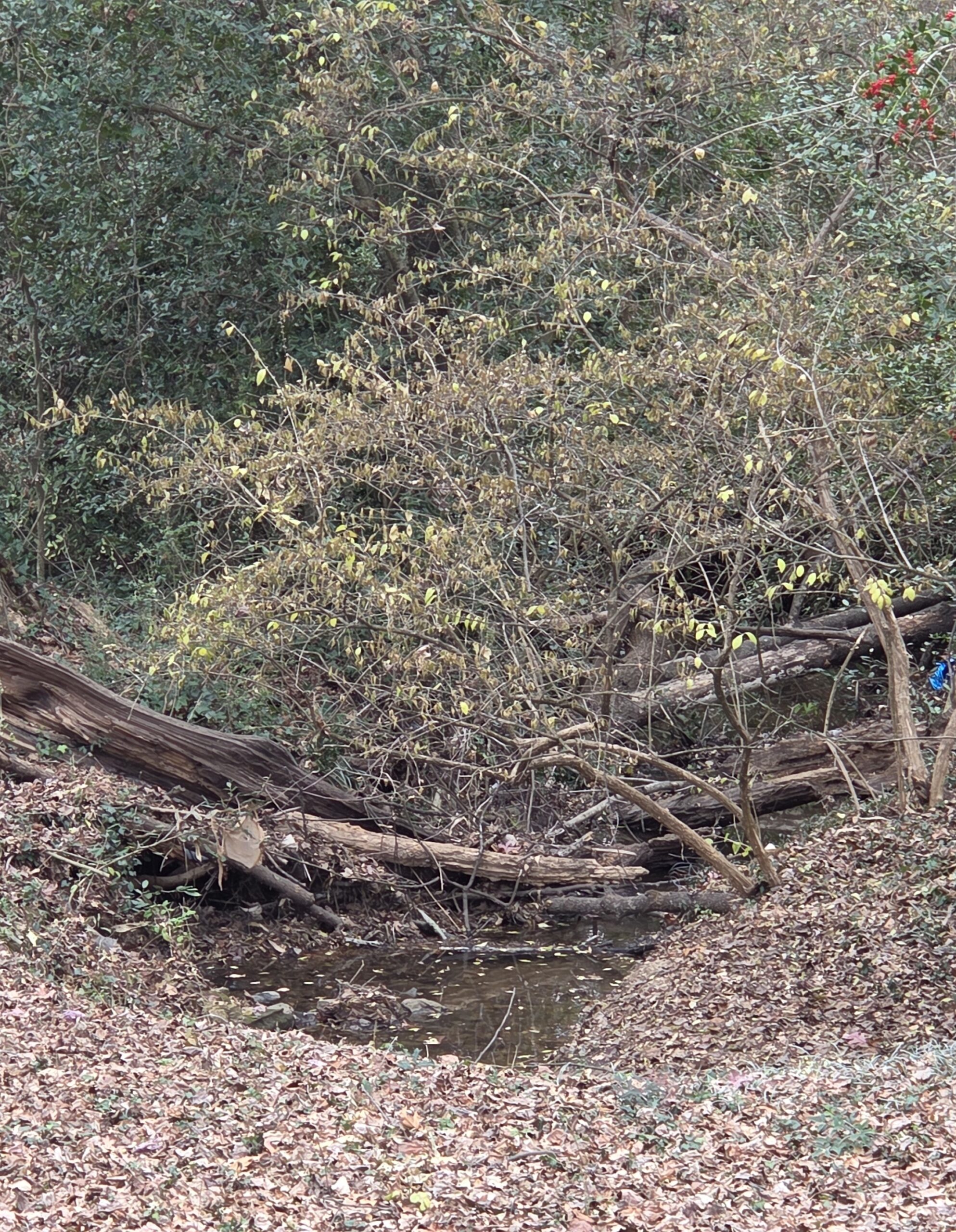 Welcome 2026!!!!!!!!!!!!!!!