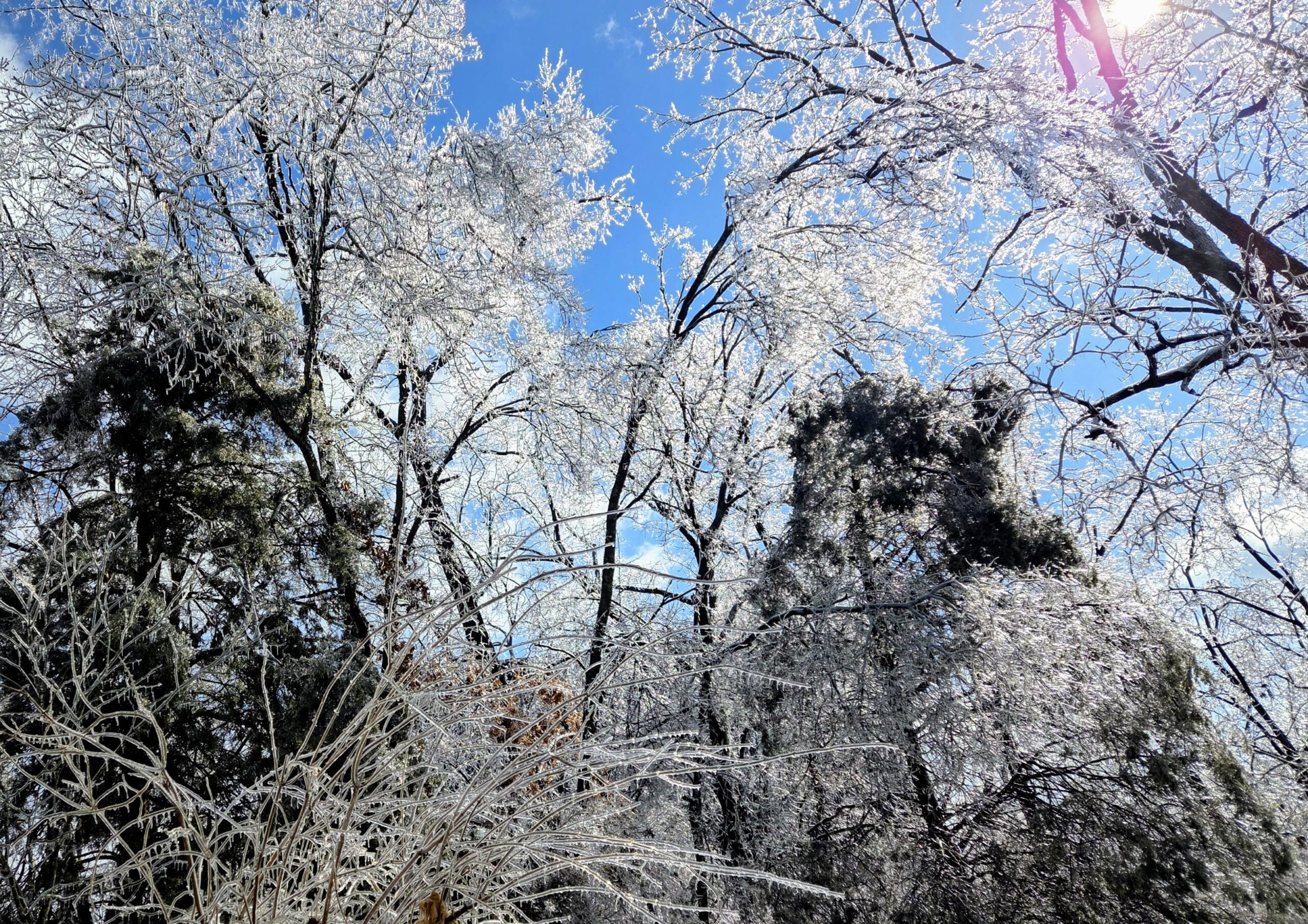 Icy Taste of Winter!!!